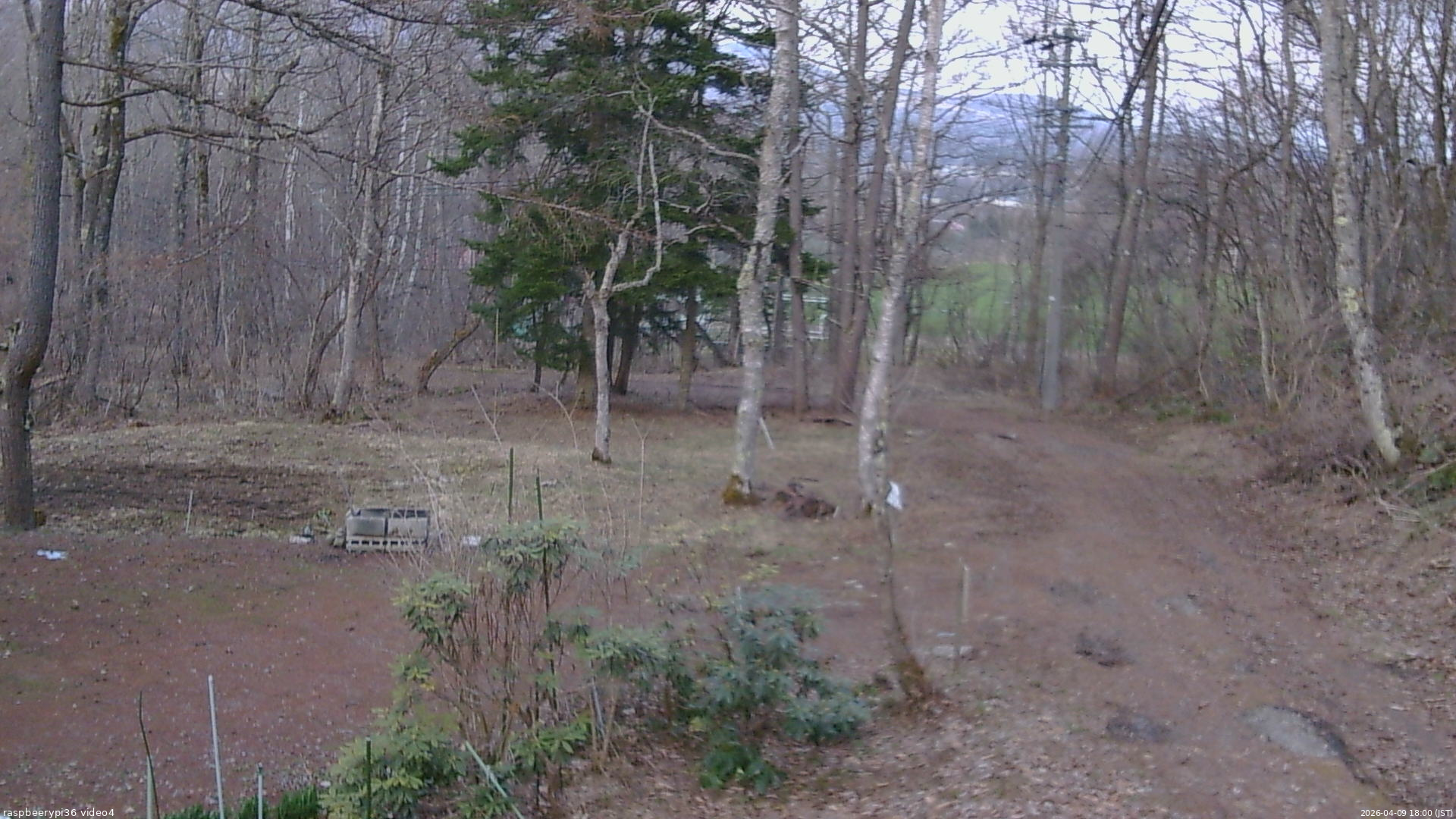 長野県菅平高原 ゆたか山荘 坂上 2026/04/09 18:00