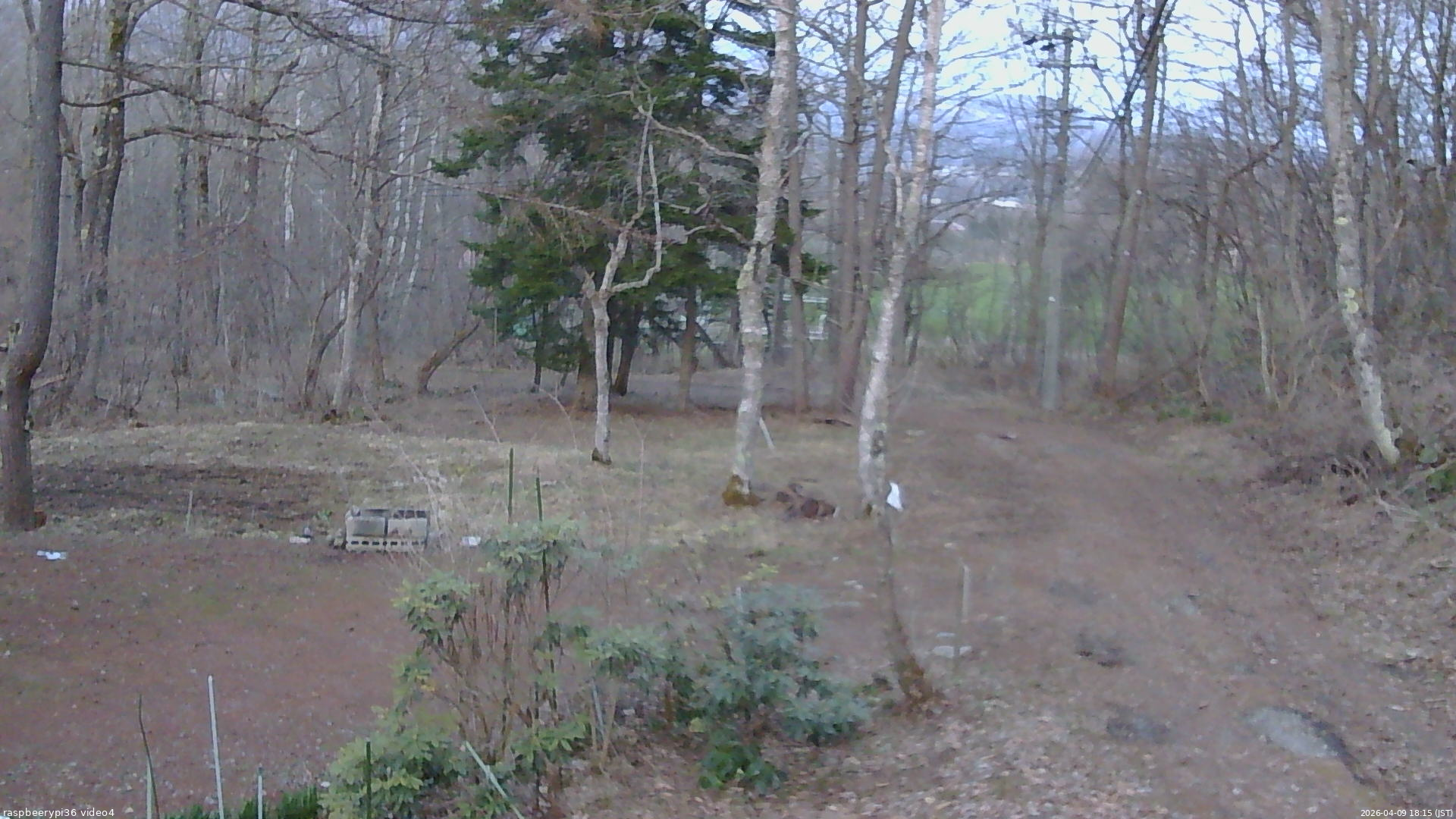 長野県菅平高原 ゆたか山荘 坂上 2026/04/09 18:15