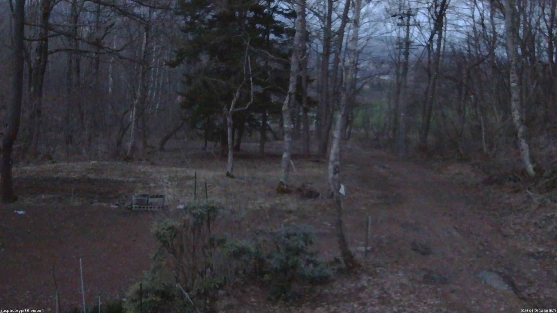 長野県菅平高原 ゆたか山荘 坂上 2026/04/09 18:30