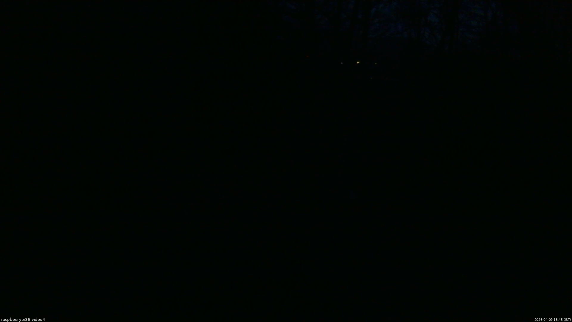 長野県菅平高原 ゆたか山荘 坂上 2026/04/09 18:45