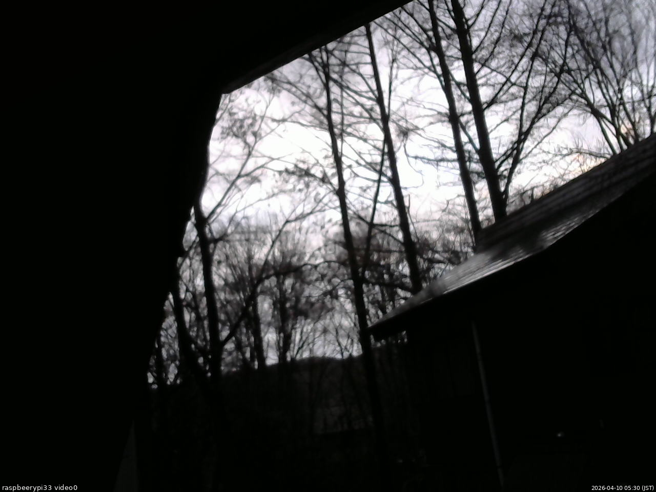 長野県菅平高原 ゆたか山荘 北側 2026/04/10 05:30