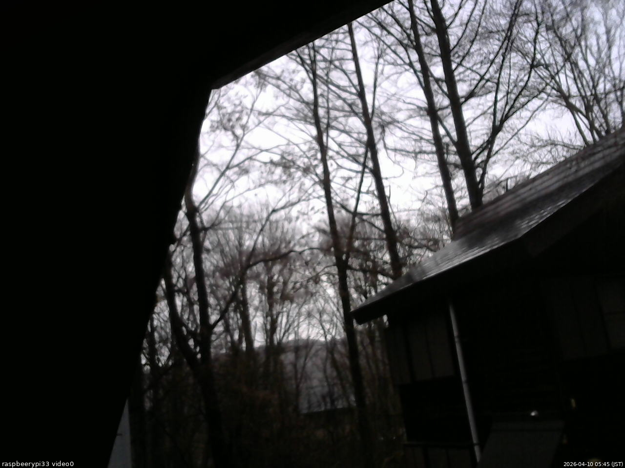 長野県菅平高原 ゆたか山荘 北側 2026/04/10 05:45