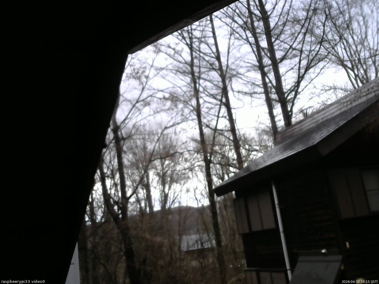 長野県菅平高原 ゆたか山荘 北側 2026/04/10 06:15