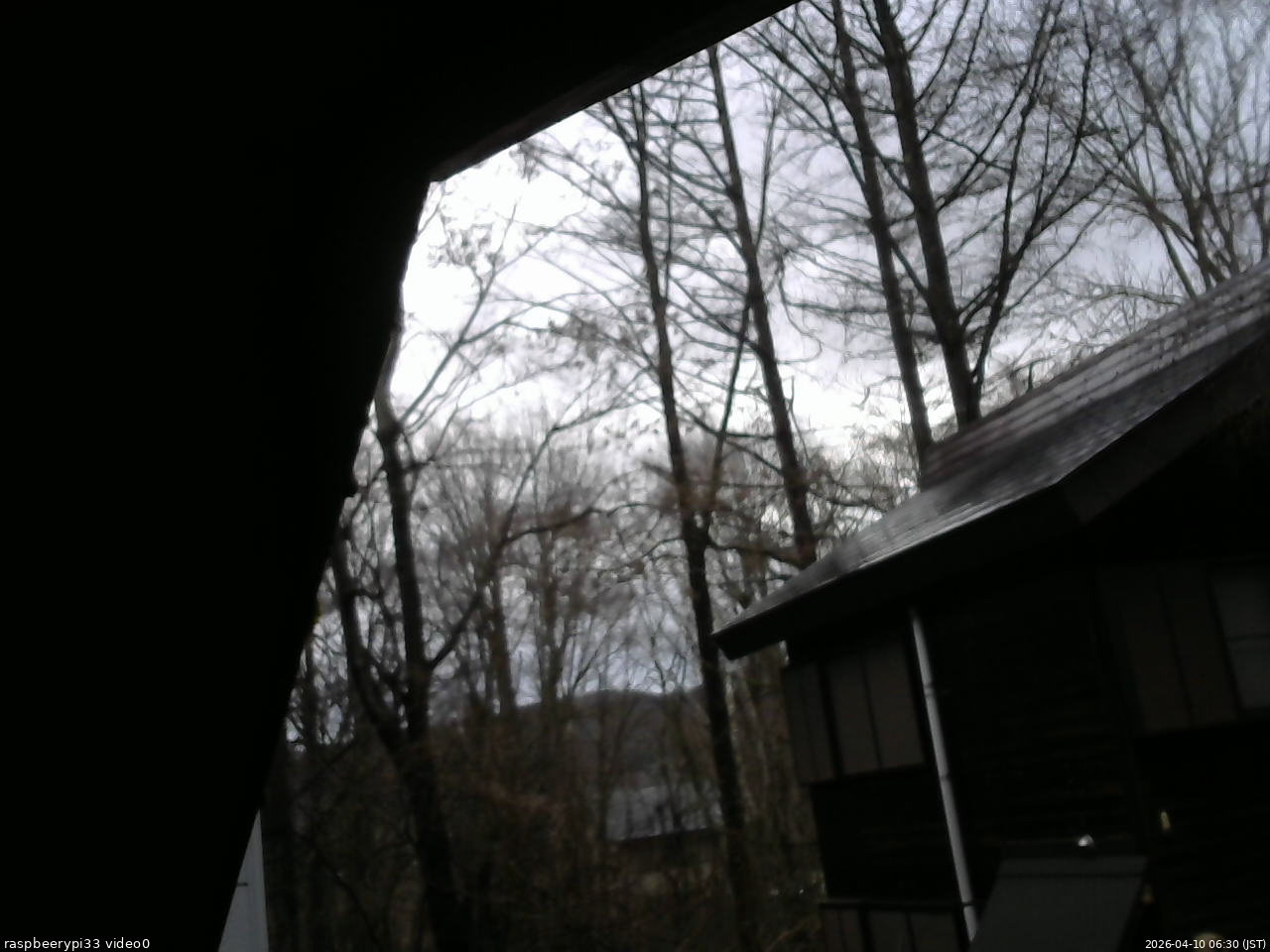 長野県菅平高原 ゆたか山荘 北側 2026/04/10 06:30