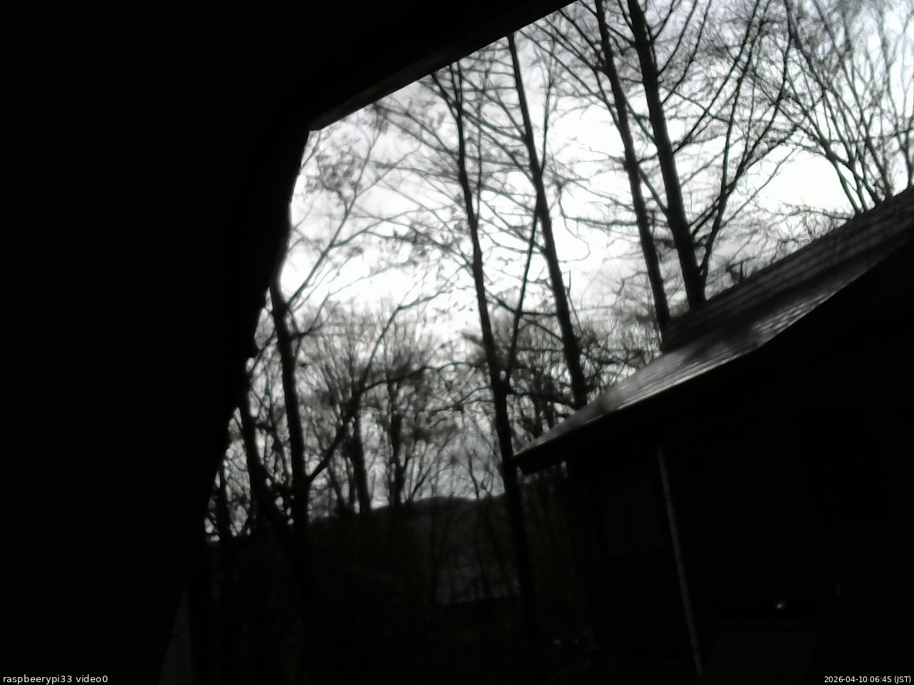 長野県菅平高原 ゆたか山荘 北側 2026/04/10 06:45