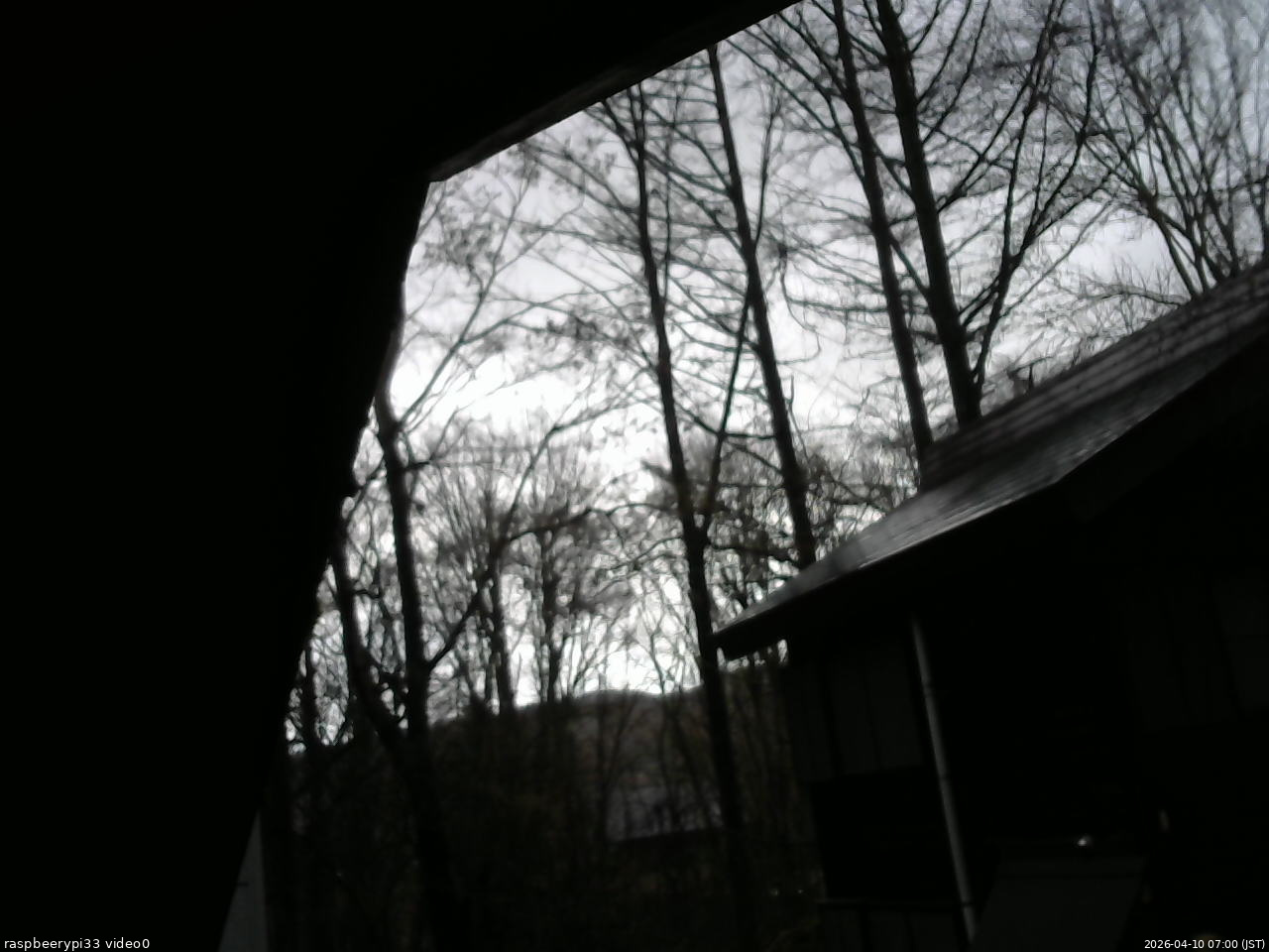 長野県菅平高原 ゆたか山荘 北側 2026/04/10 07:00