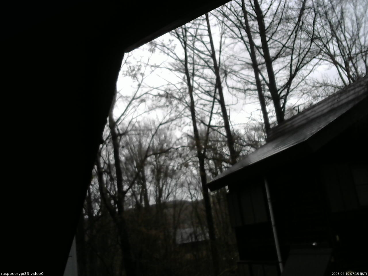 長野県菅平高原 ゆたか山荘 北側 2026/04/10 07:15