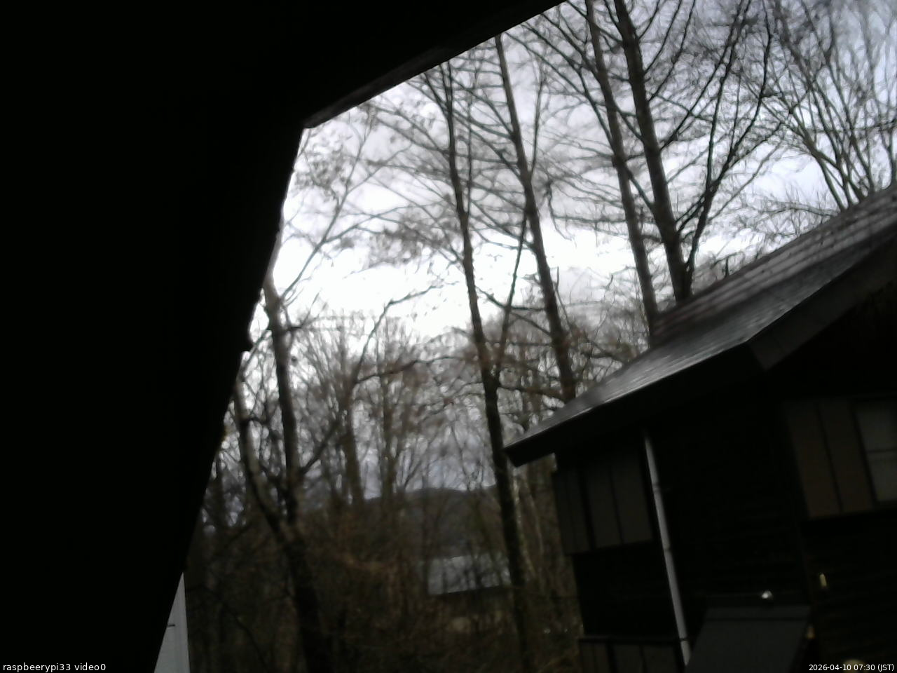 長野県菅平高原 ゆたか山荘 北側 2026/04/10 07:30