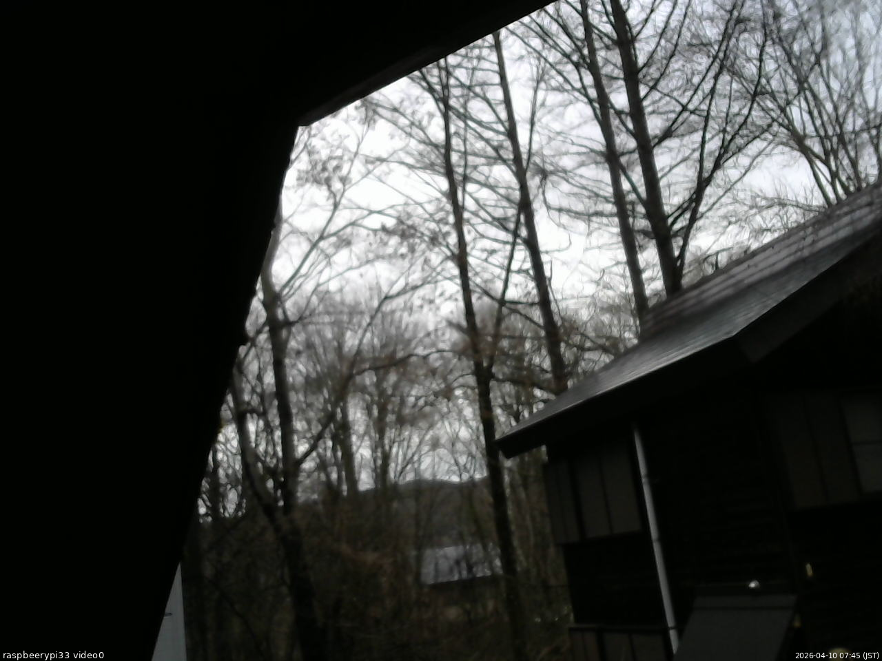 長野県菅平高原 ゆたか山荘 北側 2026/04/10 07:45