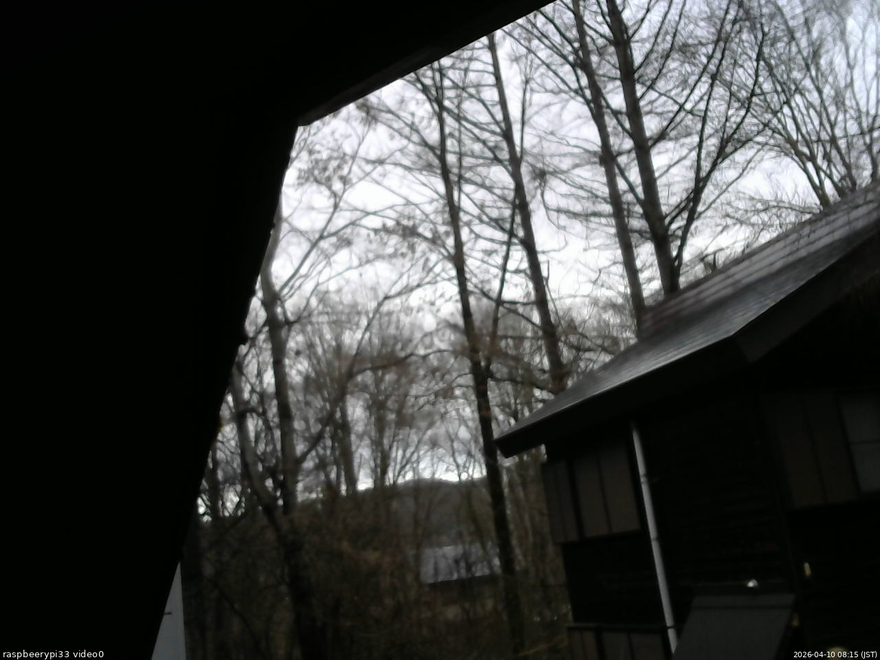 長野県菅平高原 ゆたか山荘 北側 2026/04/10 08:15