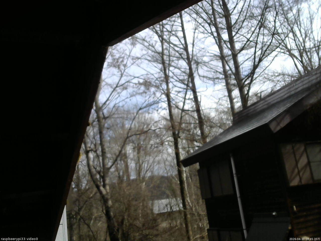 長野県菅平高原 ゆたか山荘 北側 2026/04/10 08:45