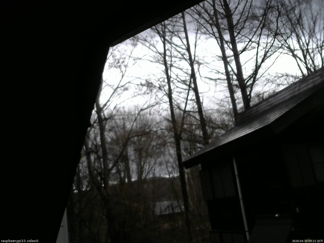 長野県菅平高原 ゆたか山荘 北側 2026/04/10 09:15