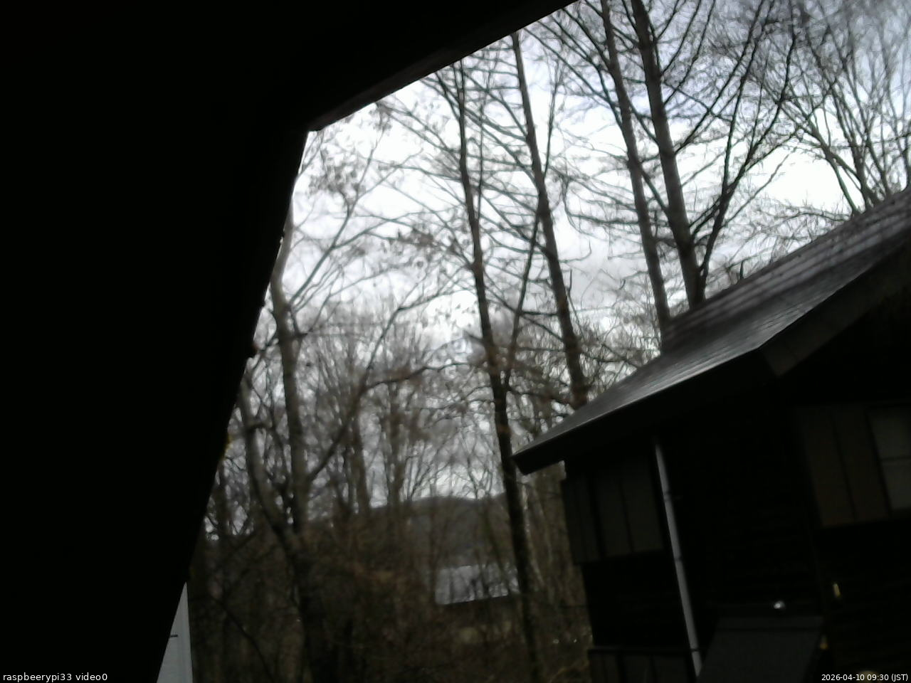 長野県菅平高原 ゆたか山荘 北側 2026/04/10 09:30