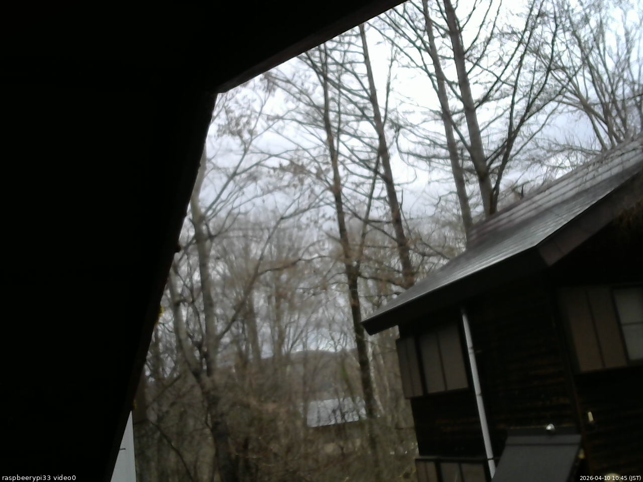 長野県菅平高原 ゆたか山荘 北側 2026/04/10 10:45