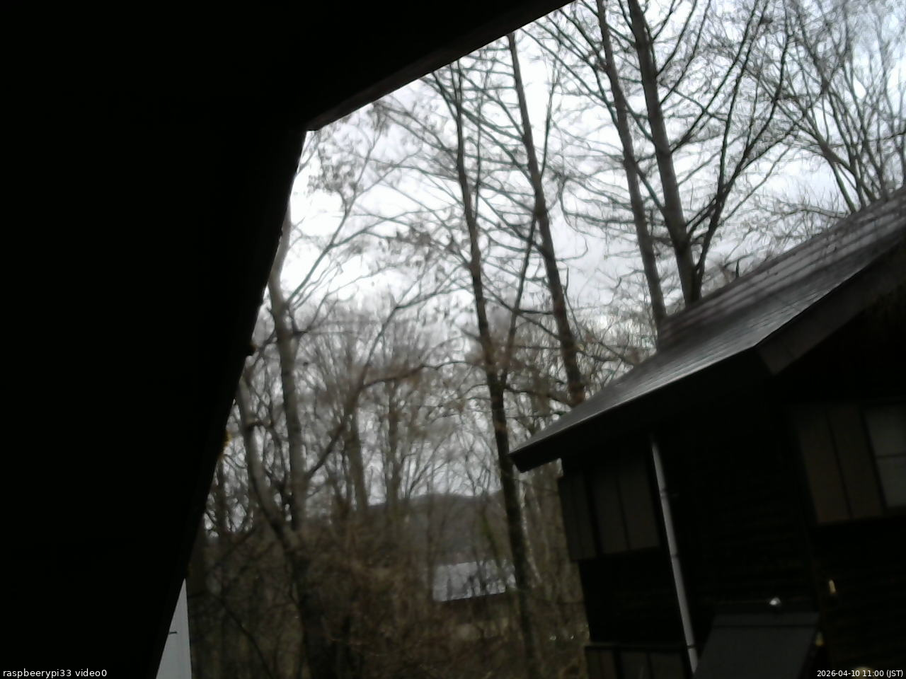 長野県菅平高原 ゆたか山荘 北側 2026/04/10 11:00