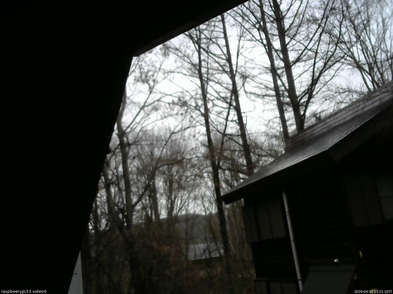 長野県菅平高原 ゆたか山荘 北側 2026/04/10 11:15