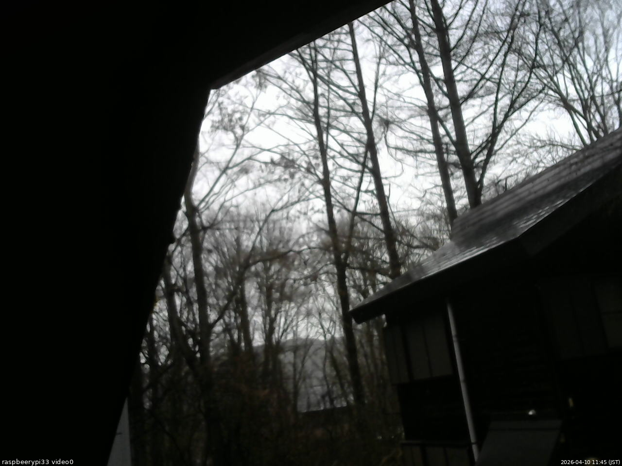 長野県菅平高原 ゆたか山荘 北側 2026/04/10 11:45