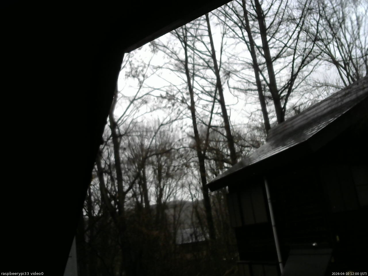 長野県菅平高原 ゆたか山荘 北側 2026/04/10 12:00