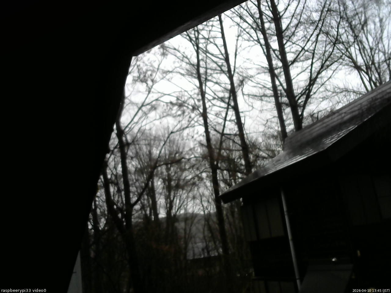 長野県菅平高原 ゆたか山荘 北側 2026/04/10 13:45