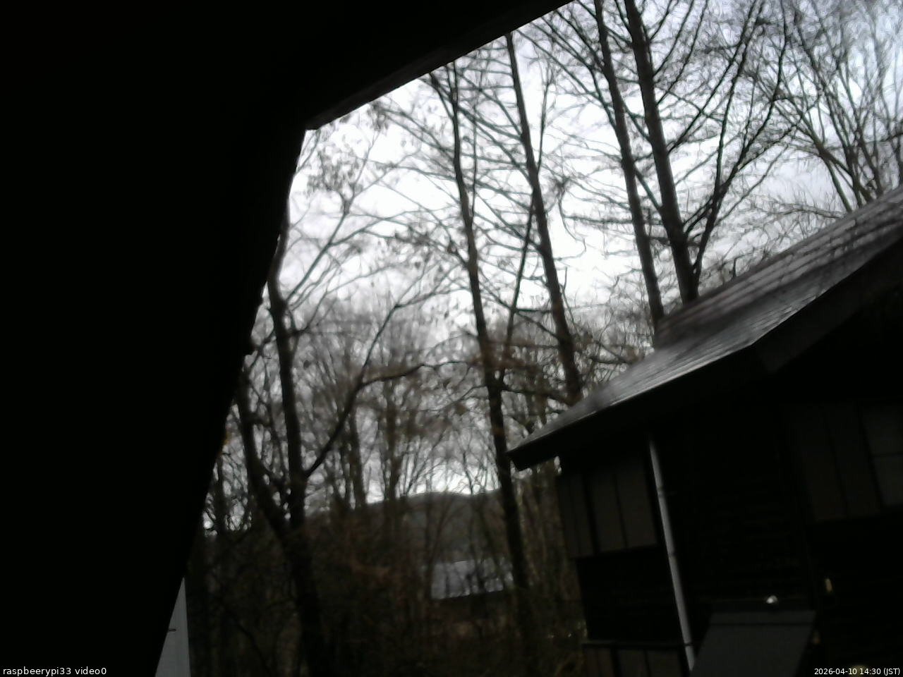 長野県菅平高原 ゆたか山荘 北側 2026/04/10 14:30