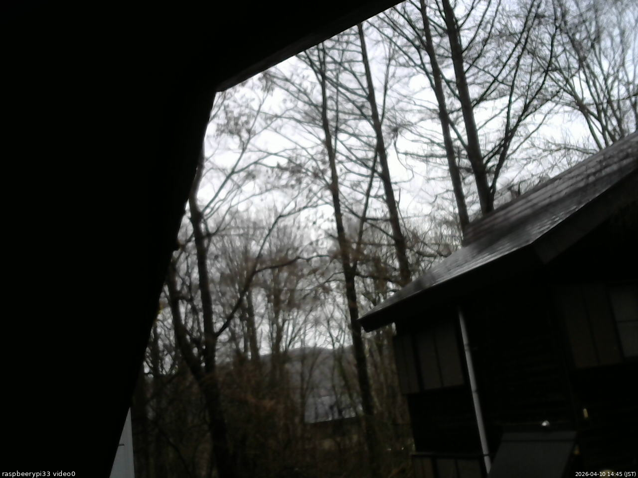 長野県菅平高原 ゆたか山荘 北側 2026/04/10 14:45