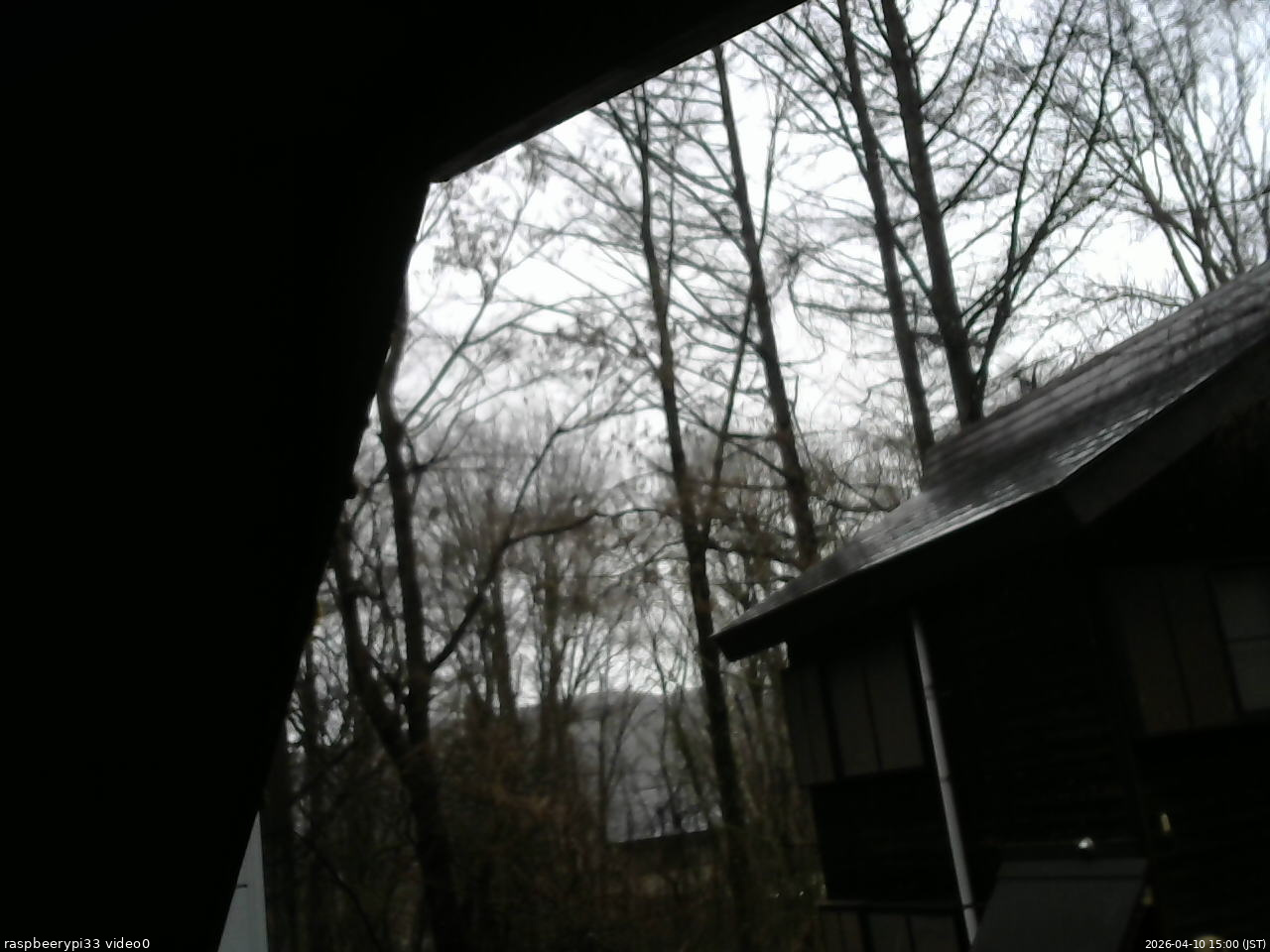 長野県菅平高原 ゆたか山荘 北側 2026/04/10 15:00