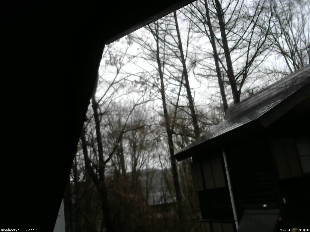 長野県菅平高原 ゆたか山荘 北側 2026/04/10 15:30