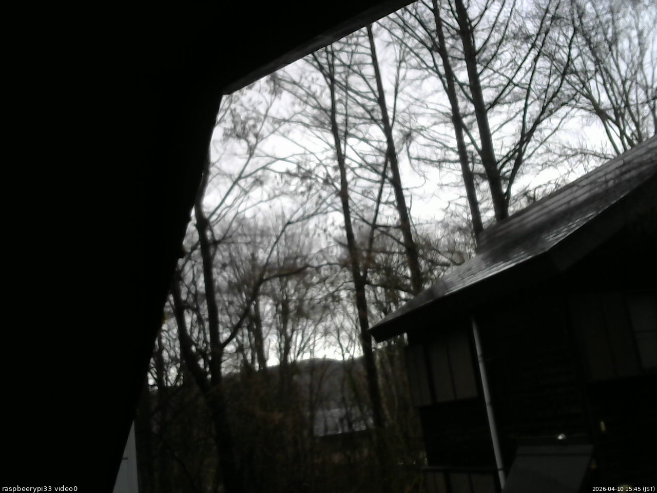 長野県菅平高原 ゆたか山荘 北側 2026/04/10 15:45