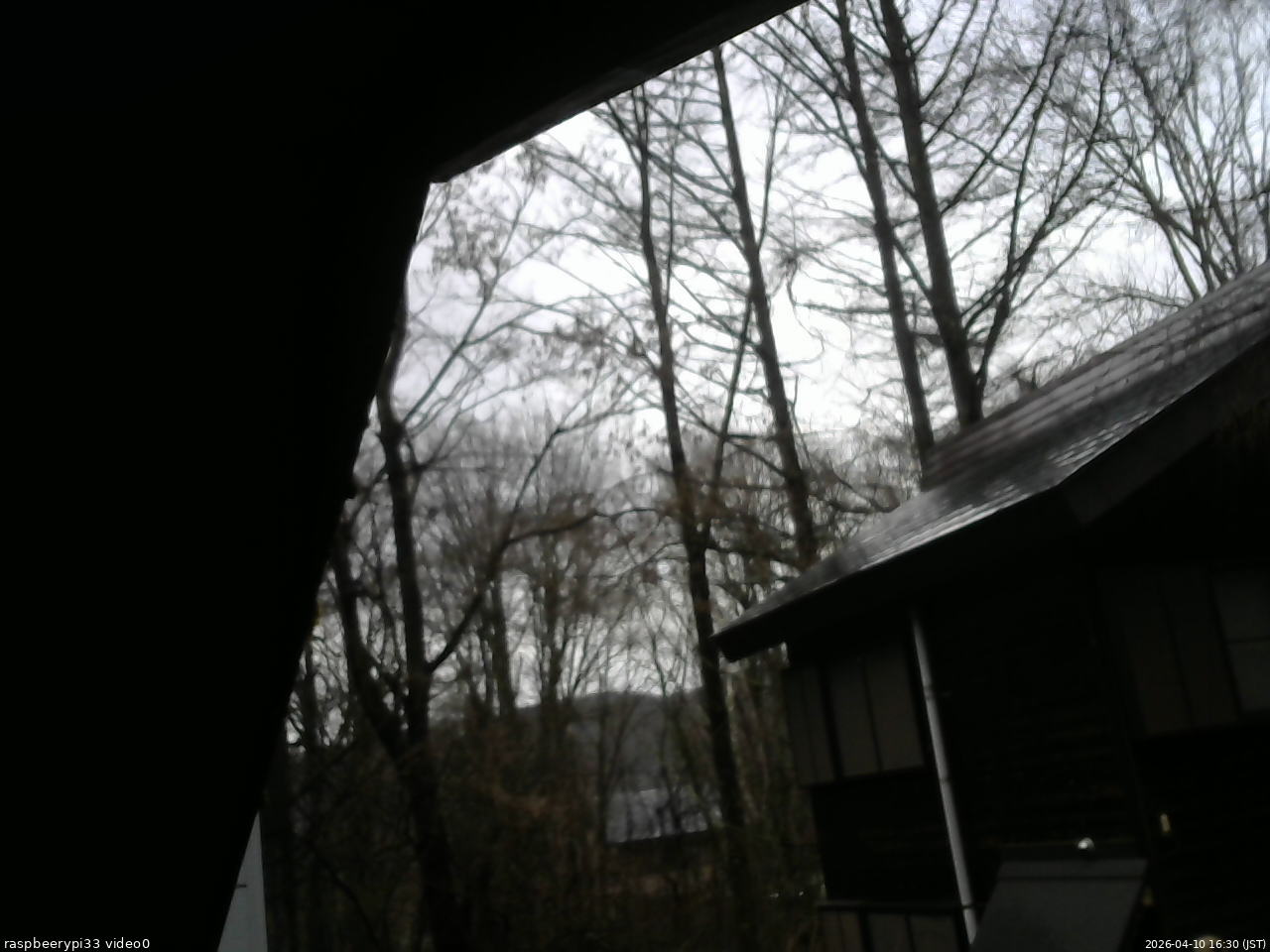 長野県菅平高原 ゆたか山荘 北側 2026/04/10 16:30