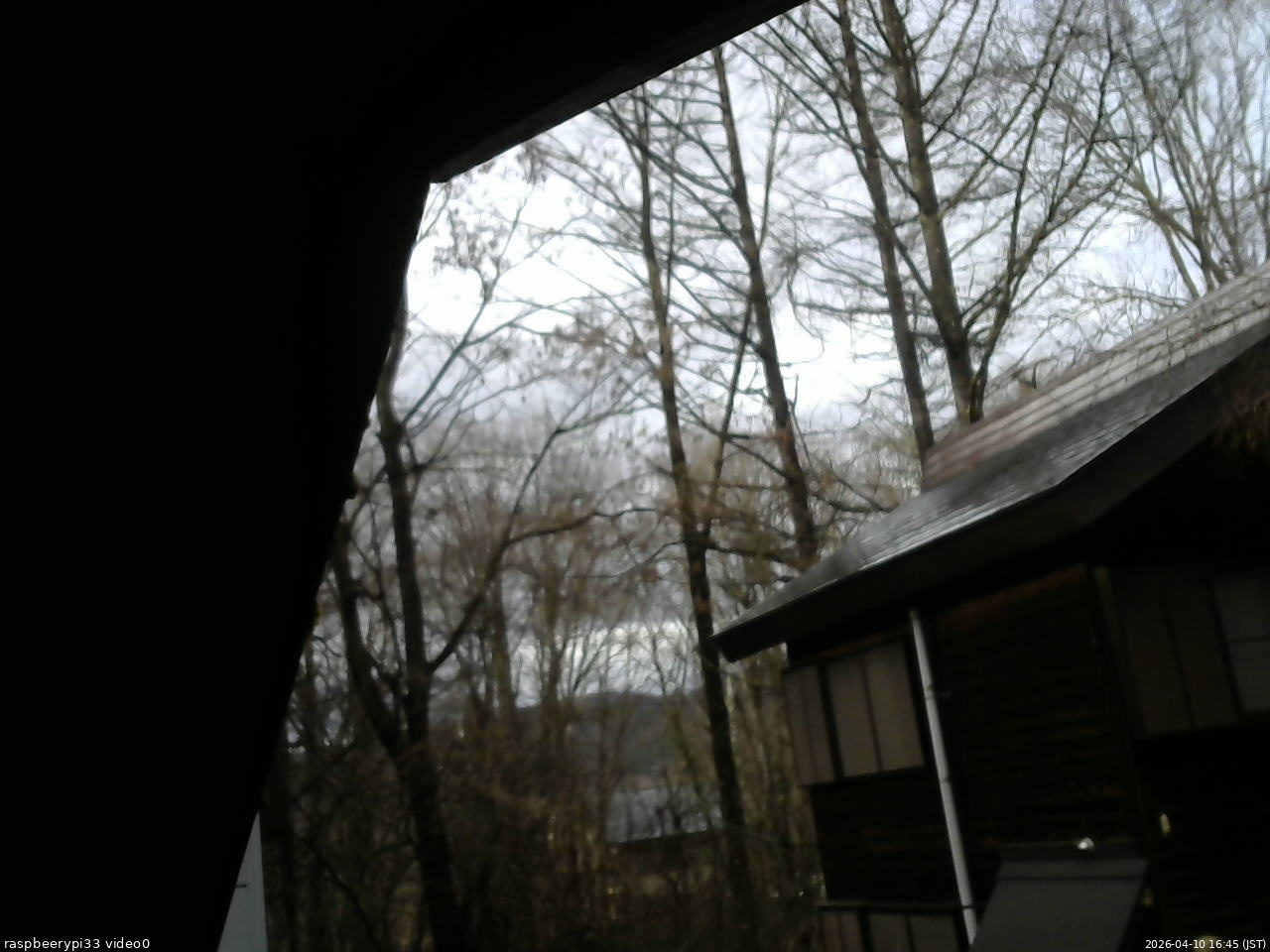 長野県菅平高原 ゆたか山荘 北側 2026/04/10 16:45