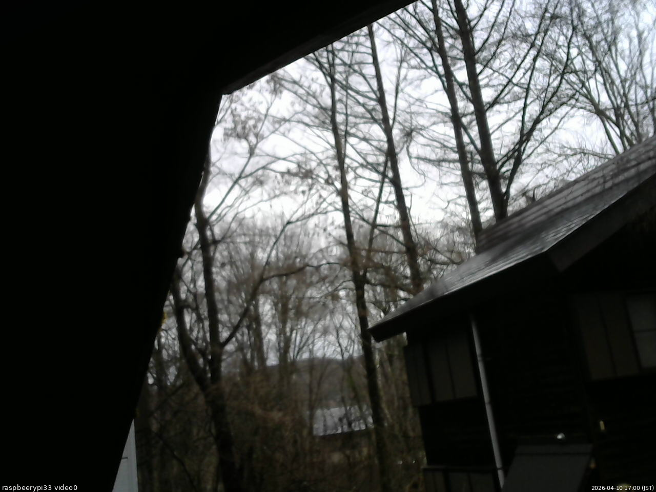 長野県菅平高原 ゆたか山荘 北側 2026/04/10 17:00