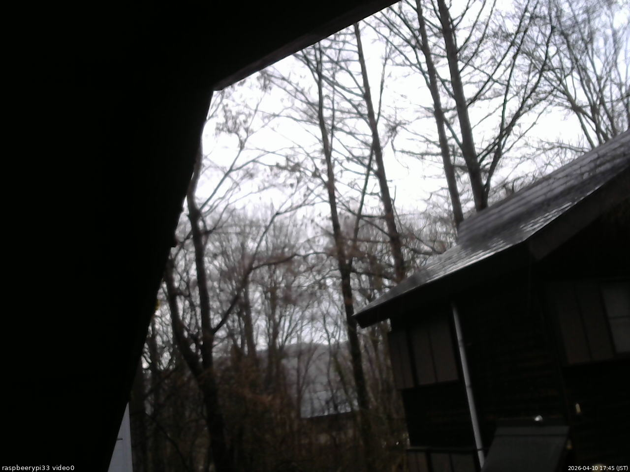 長野県菅平高原 ゆたか山荘 北側 2026/04/10 17:45