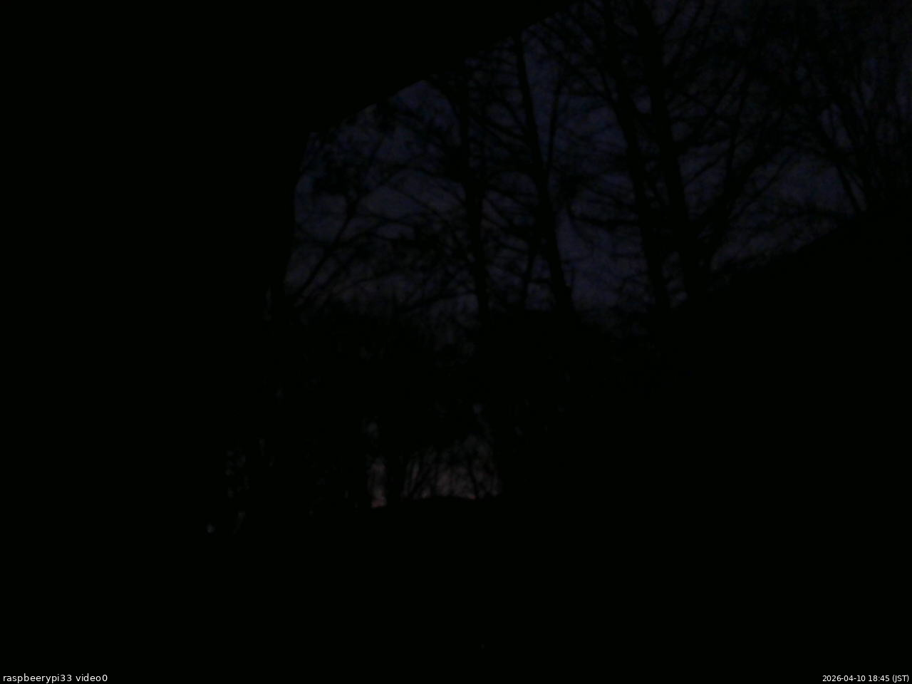 長野県菅平高原 ゆたか山荘 北側 2026/04/10 18:45