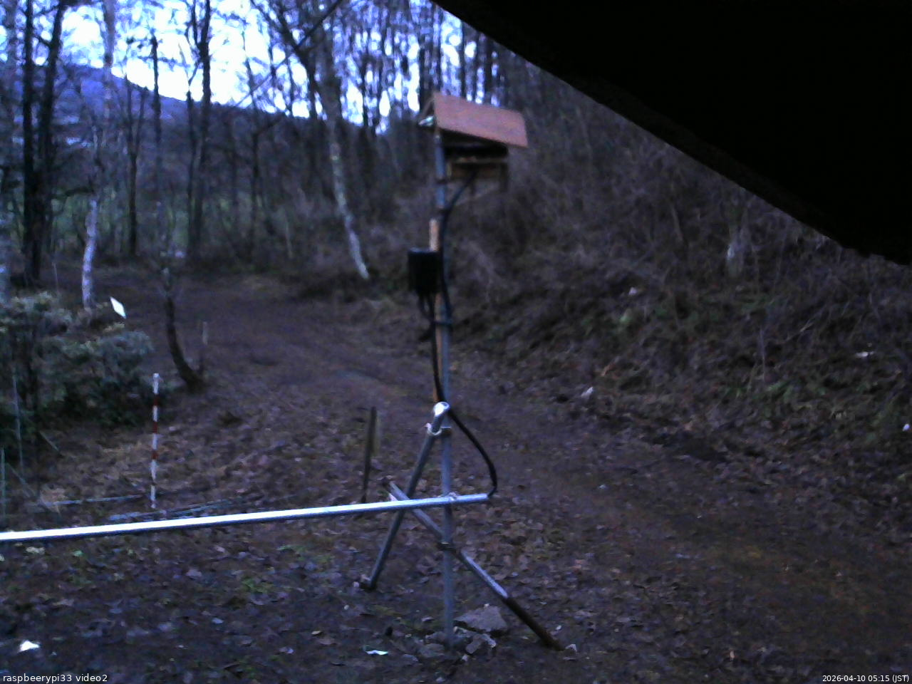 長野県菅平高原 ゆたか山荘 南側 2026/04/10 05:15