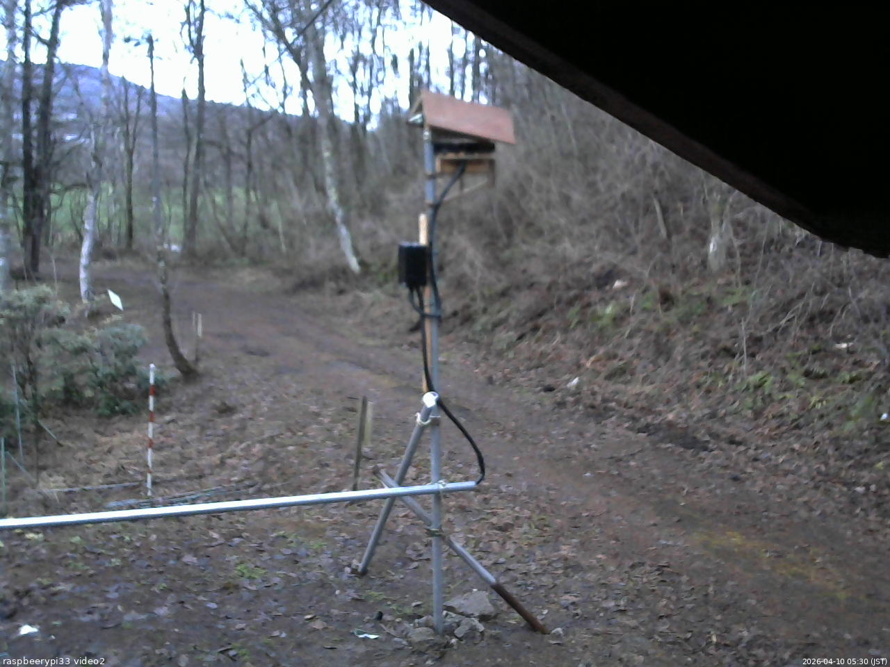 長野県菅平高原 ゆたか山荘 南側 2026/04/10 05:30