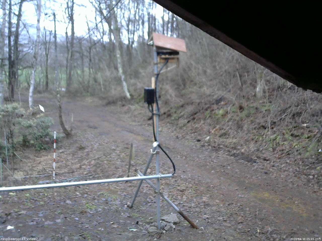長野県菅平高原 ゆたか山荘 南側 2026/04/10 05:45