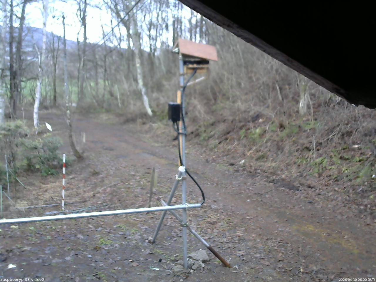 長野県菅平高原 ゆたか山荘 南側 2026/04/10 06:00