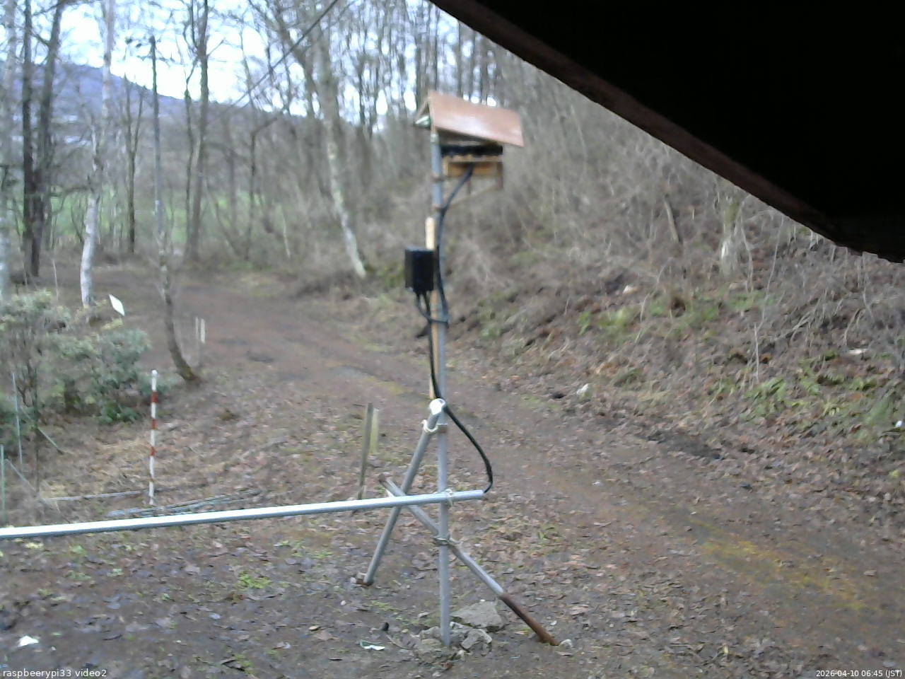 長野県菅平高原 ゆたか山荘 南側 2026/04/10 06:45