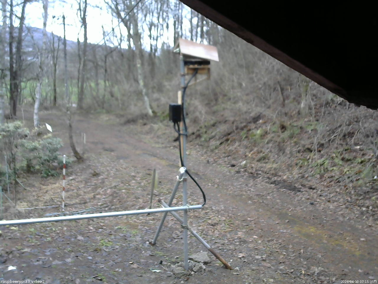 長野県菅平高原 ゆたか山荘 南側 2026/04/10 07:15
