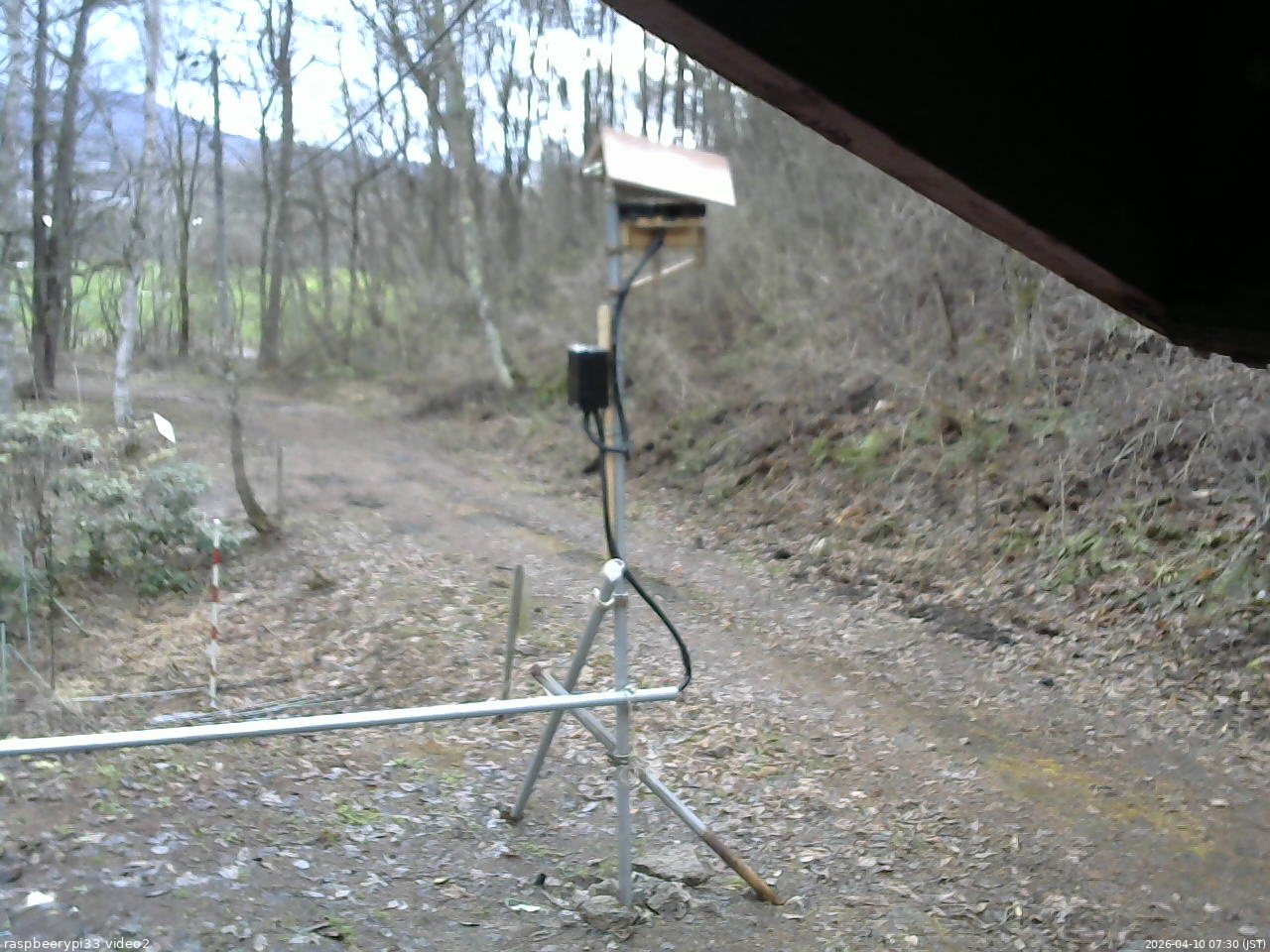 長野県菅平高原 ゆたか山荘 南側 2026/04/10 07:30
