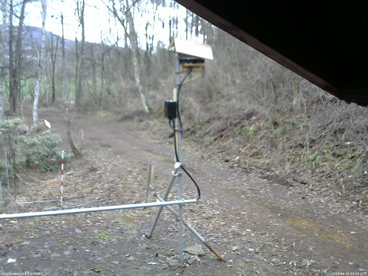 長野県菅平高原 ゆたか山荘 南側 2026/04/10 07:45