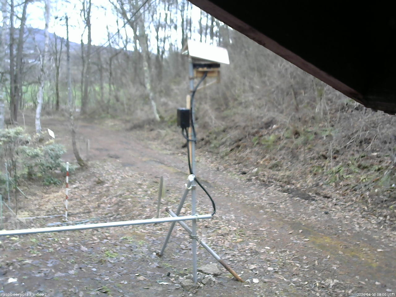 長野県菅平高原 ゆたか山荘 南側 2026/04/10 08:00
