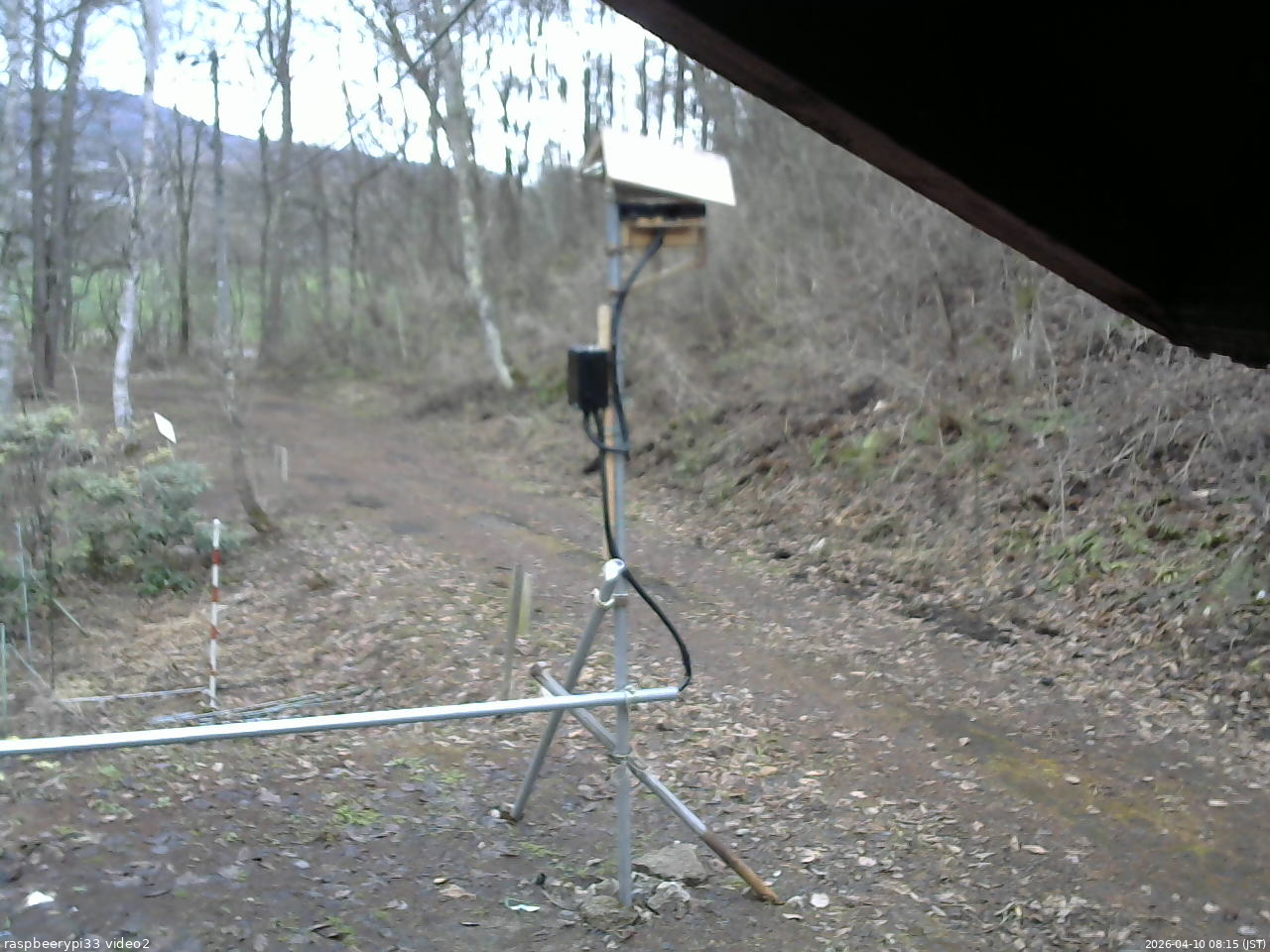 長野県菅平高原 ゆたか山荘 南側 2026/04/10 08:15