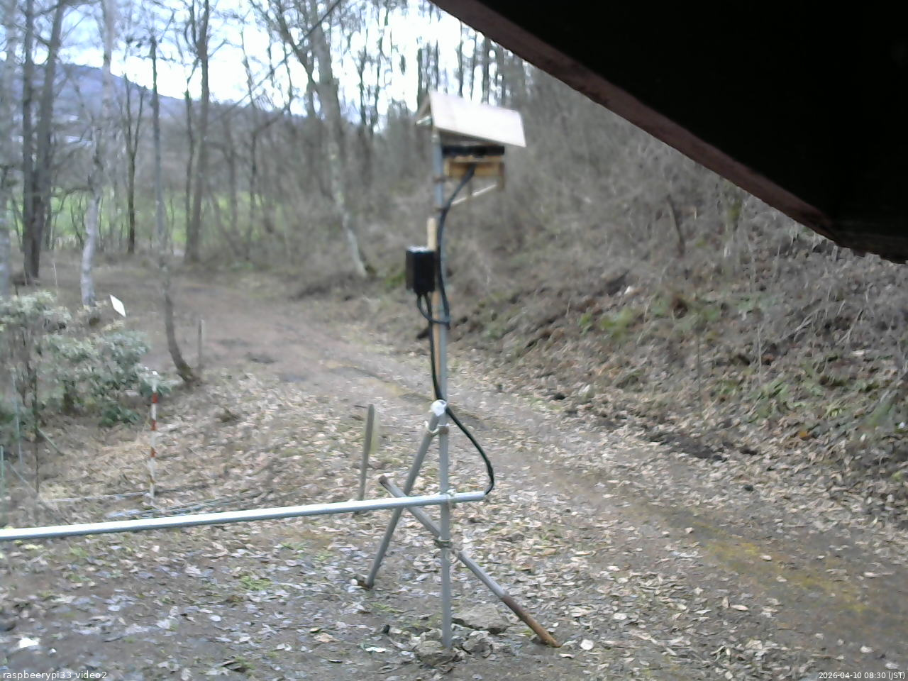 長野県菅平高原 ゆたか山荘 南側 2026/04/10 08:30
