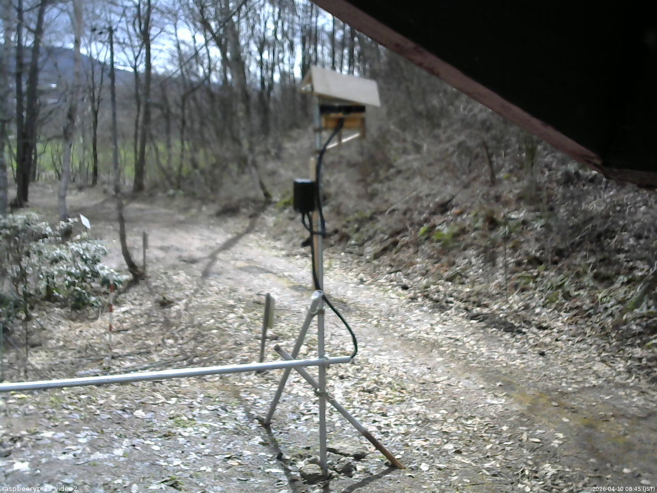 長野県菅平高原 ゆたか山荘 南側 2026/04/10 08:45