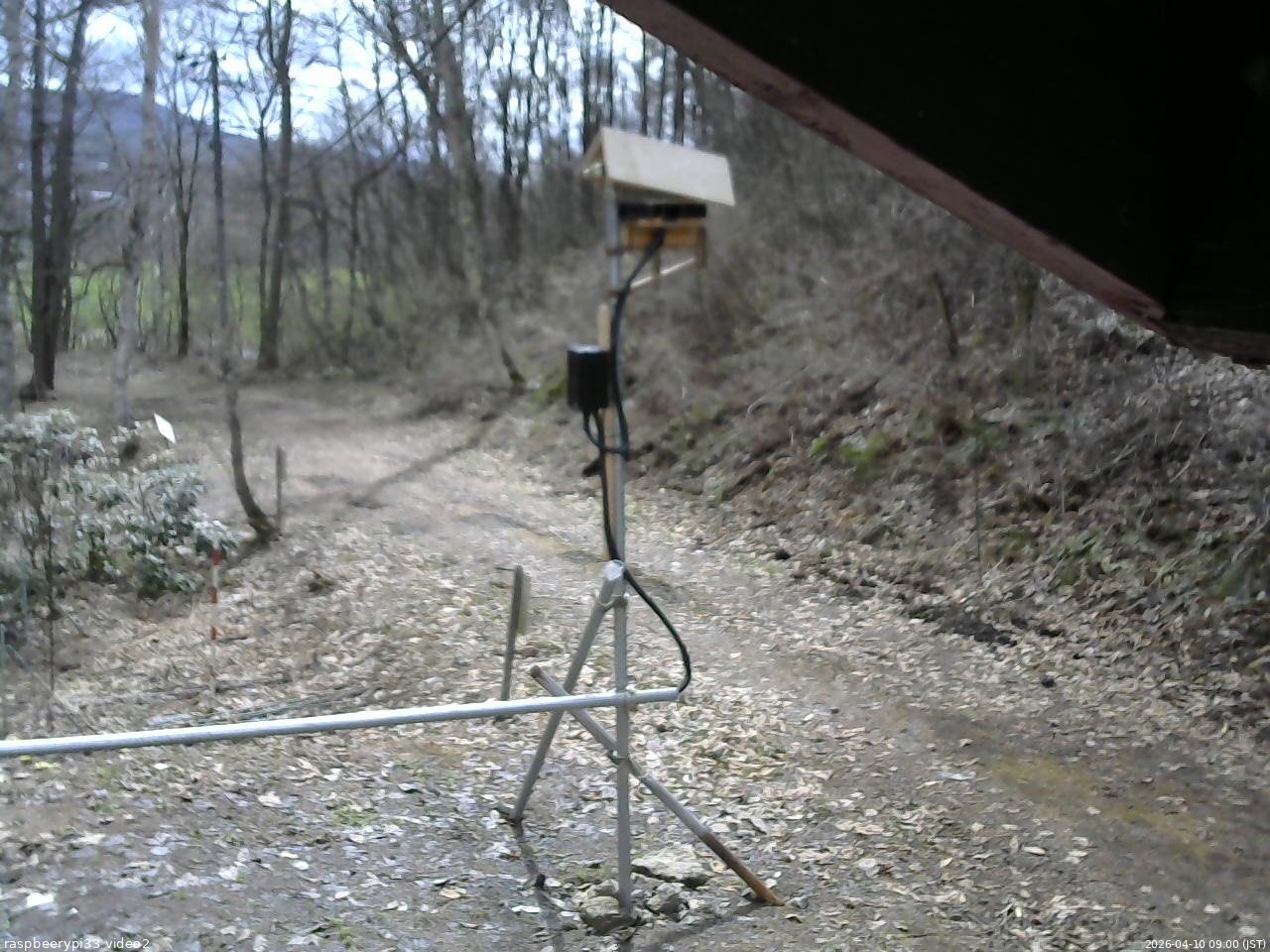 長野県菅平高原 ゆたか山荘 南側 2026/04/10 09:00