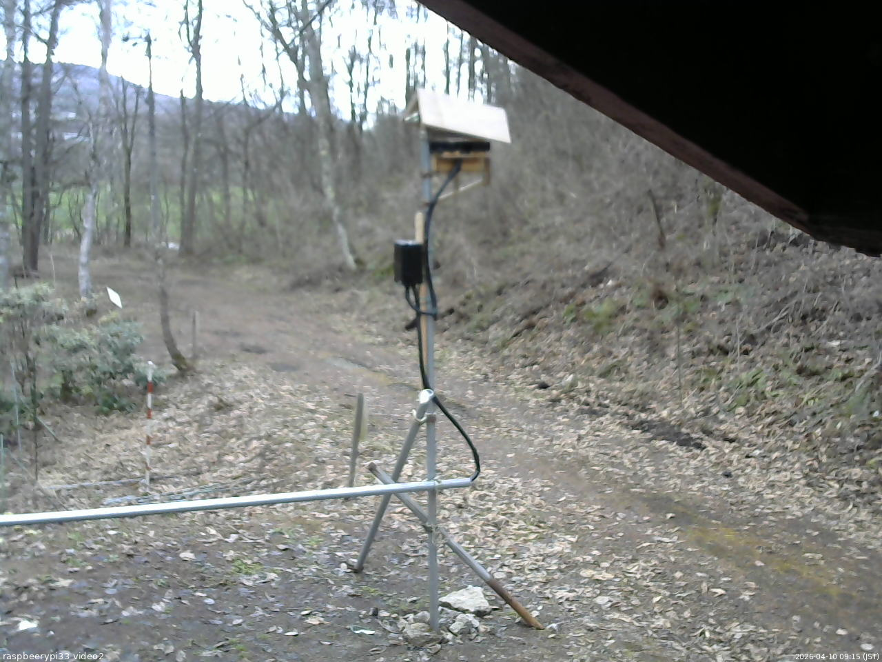 長野県菅平高原 ゆたか山荘 南側 2026/04/10 09:15