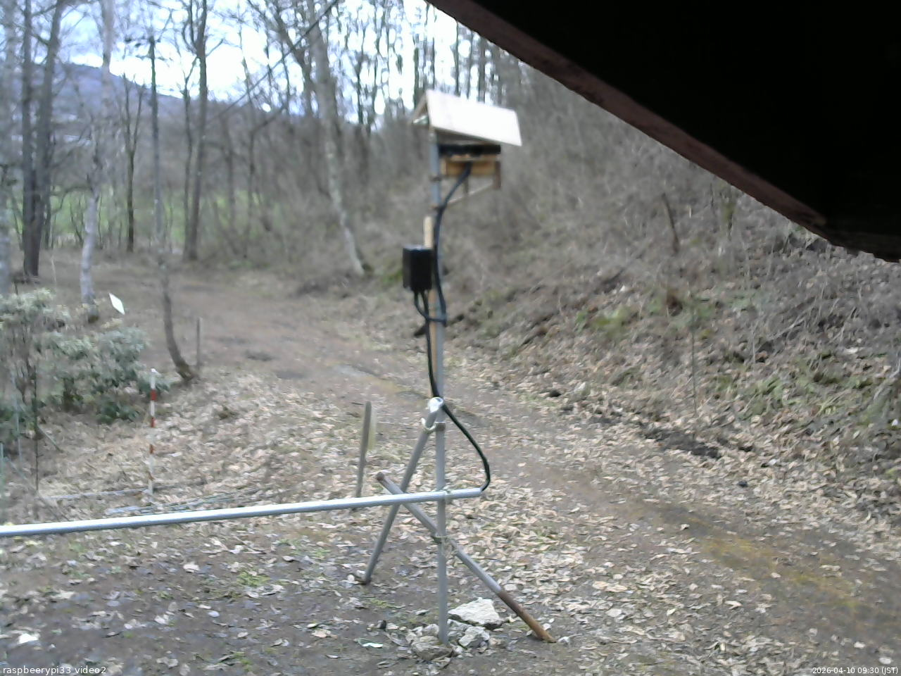 長野県菅平高原 ゆたか山荘 南側 2026/04/10 09:30