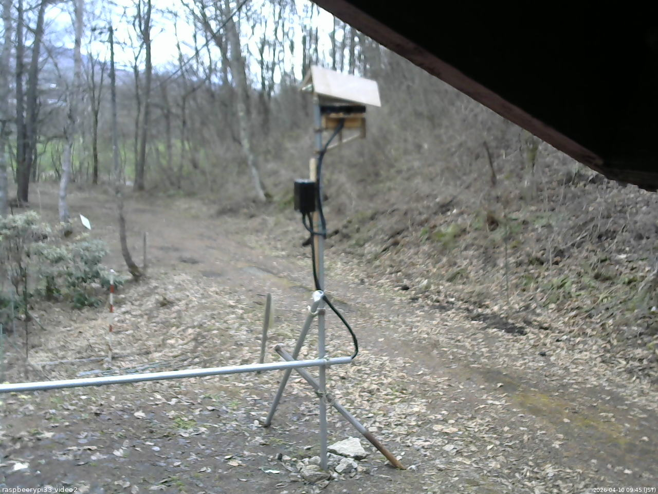長野県菅平高原 ゆたか山荘 南側 2026/04/10 09:45