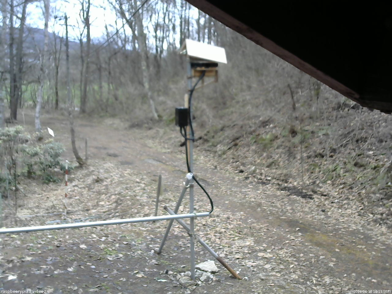 長野県菅平高原 ゆたか山荘 南側 2026/04/10 10:15